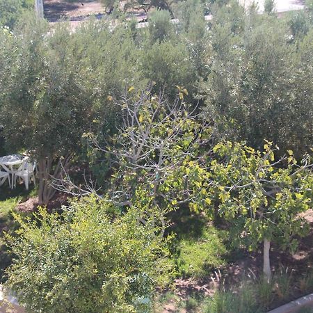 Les Jardins Fleuris Bed and Breakfast Essaouira Exteriör bild