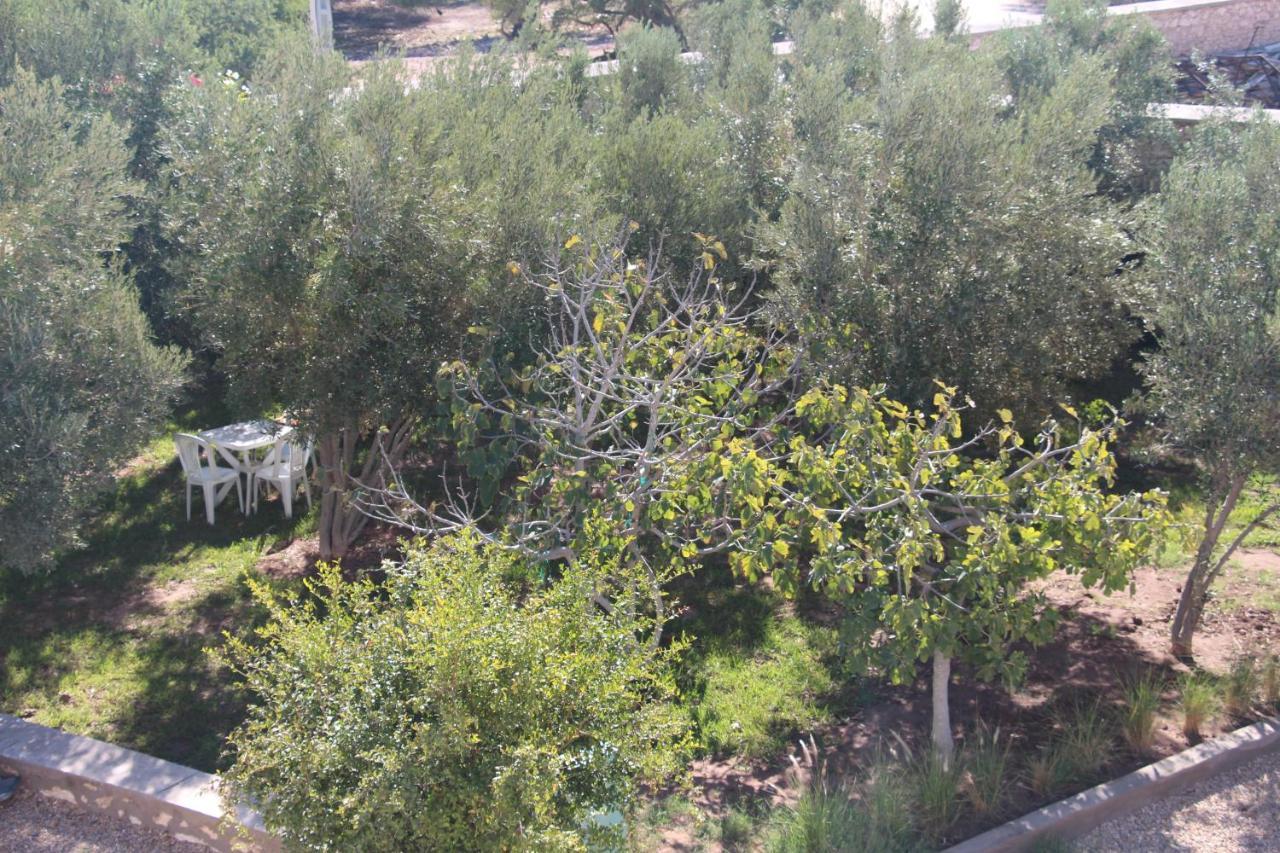 Les Jardins Fleuris Bed and Breakfast Essaouira Exteriör bild